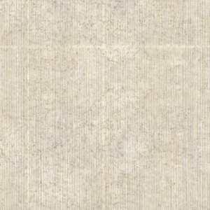 Birch
