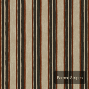 Earned Stripes category