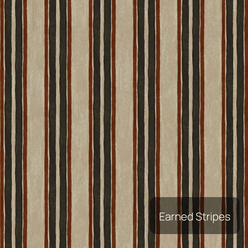 Earned Stripes category